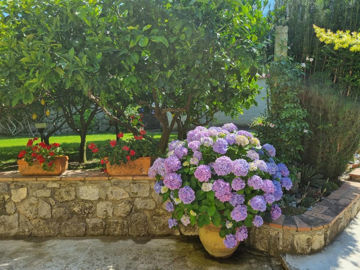 Il Ruscello Bed & Breakfast Маратеа Екстериор снимка