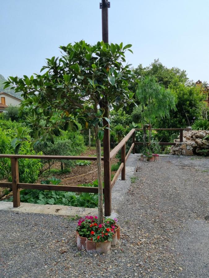Il Ruscello Bed & Breakfast Маратеа Екстериор снимка
