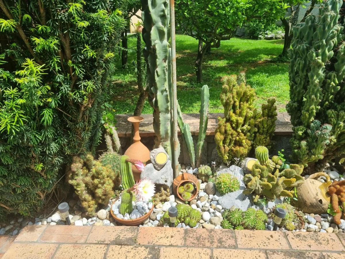 Il Ruscello Bed & Breakfast Маратеа Екстериор снимка