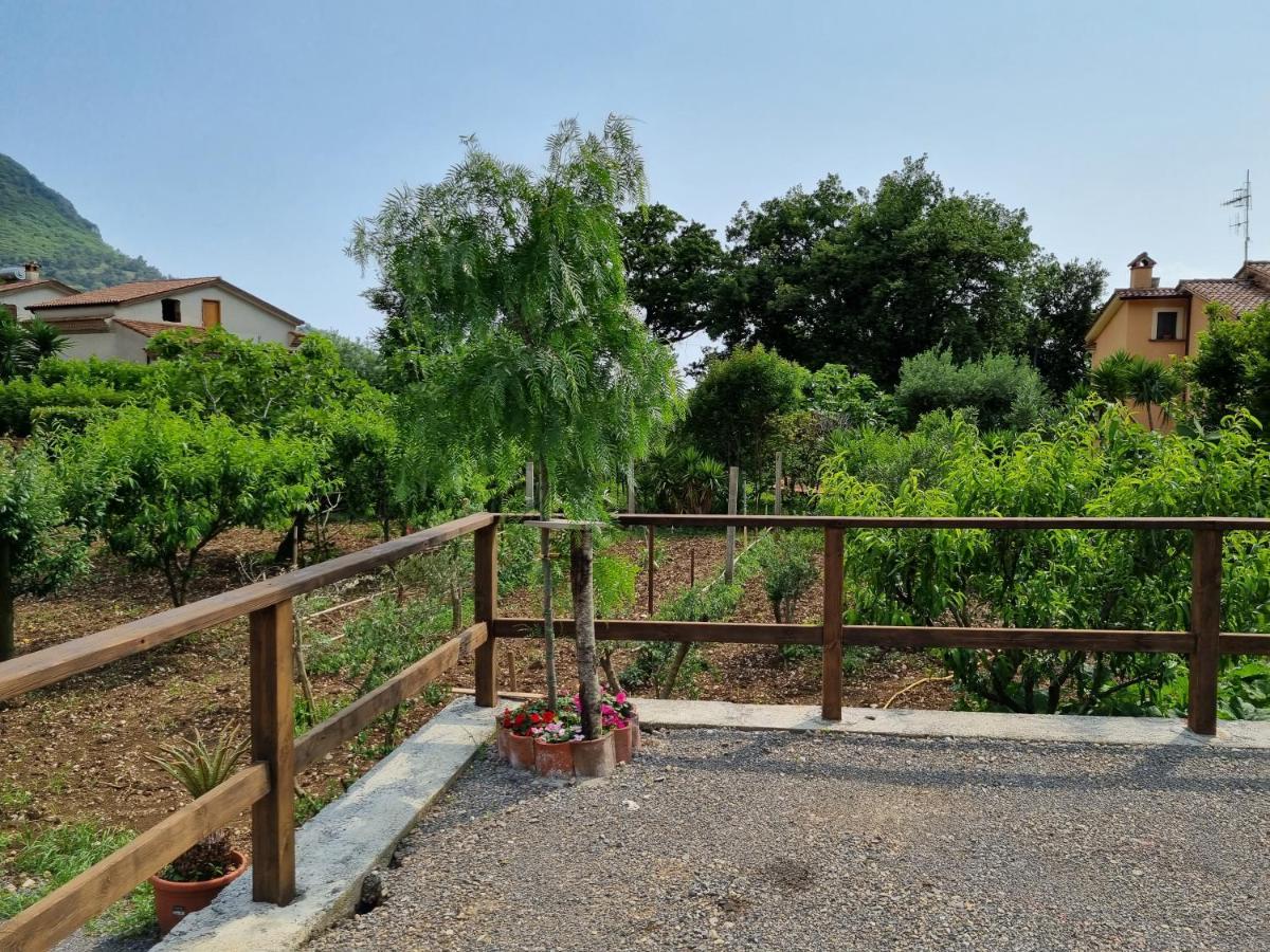 Il Ruscello Bed & Breakfast Маратеа Екстериор снимка