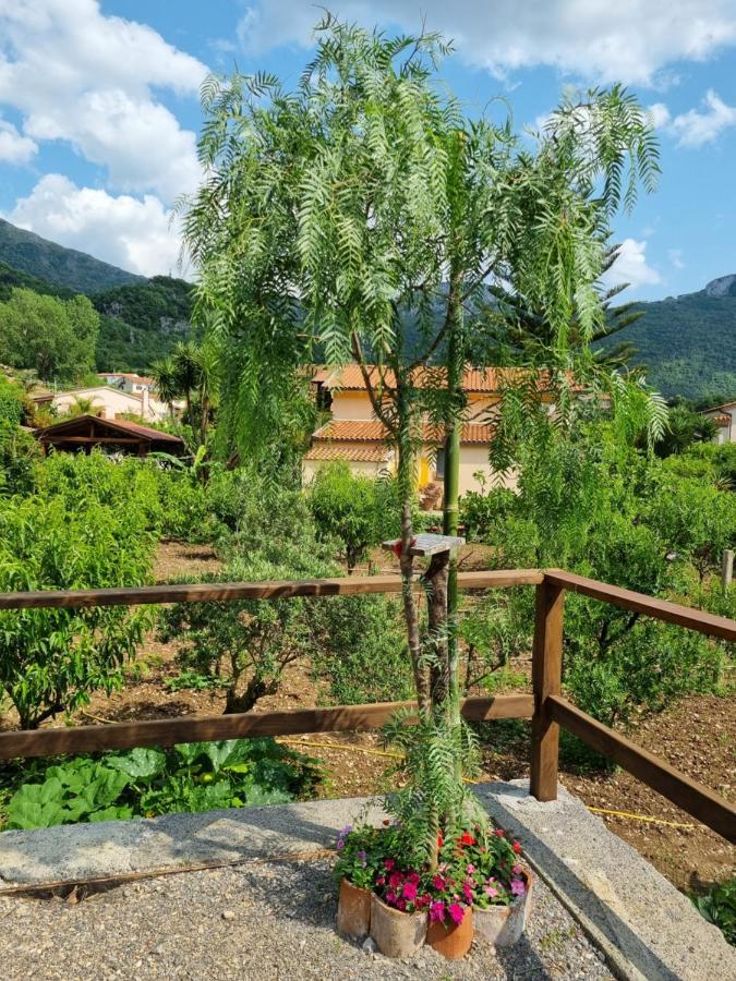 Il Ruscello Bed & Breakfast Маратеа Екстериор снимка